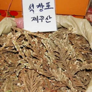 제주도 석창포