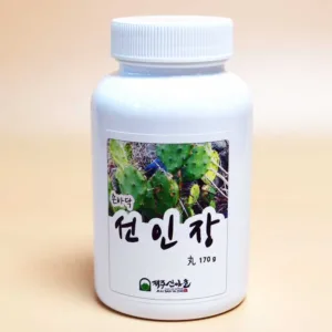 손바닥선인장줄기환